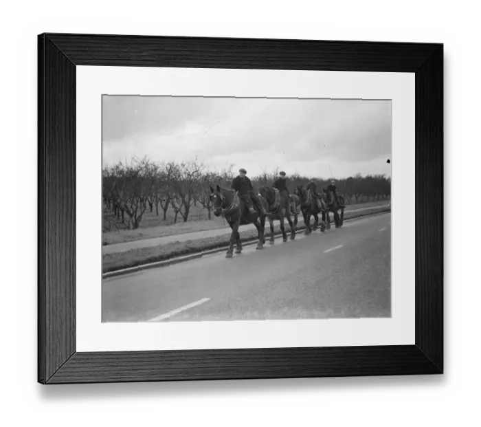 Framed Print : Farm workers on horseback, homeward bound in Farrningham, Kent. 1938