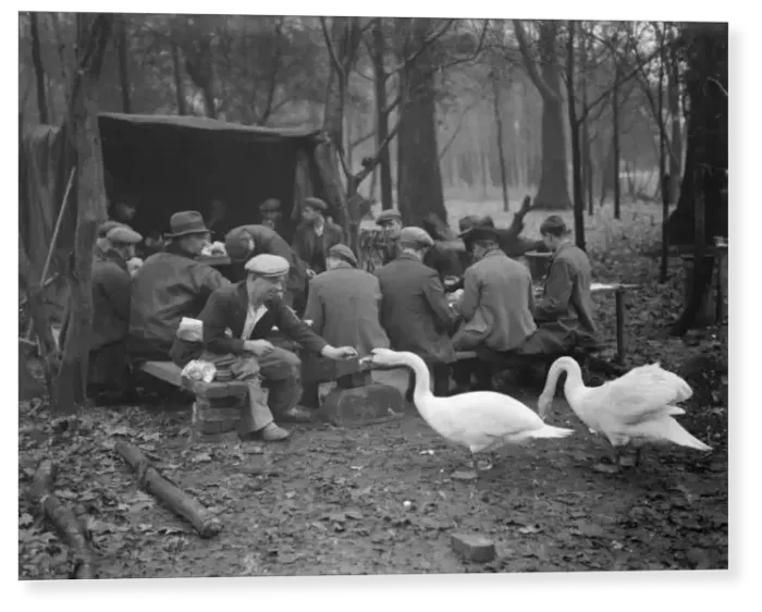 Print : Workmen on their tea break feeding the swans during the reconstruction of the gardens Print : Workmen on their tea break feeding the swans during the reconstruction of the gardens