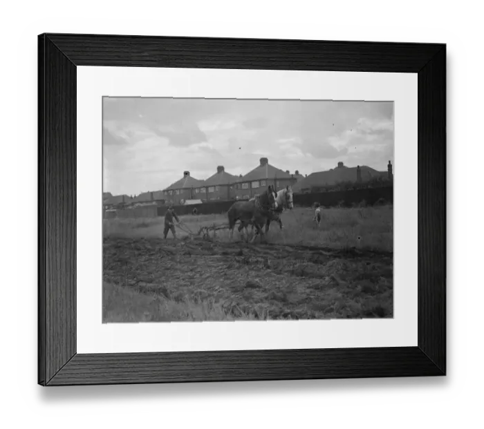 Framed Print : Children watch a farmer and his horse team ploughing a field in New Eltham, London