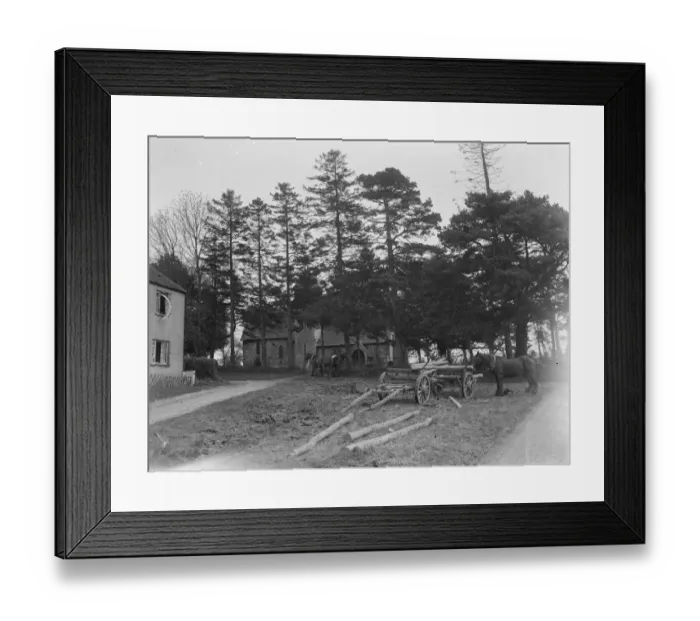 Framed Print : A lumber team at work around Throwley Church in Kent. 1937 Framed Print : A lumber team at work around Throwley Church in Kent. 1937