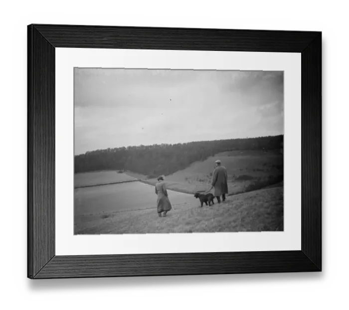 Framed Print : A farmer and his dog stands to view his fields at preston hill farm estate Framed Print : A farmer and his dog stands to view his fields at preston hill farm estate