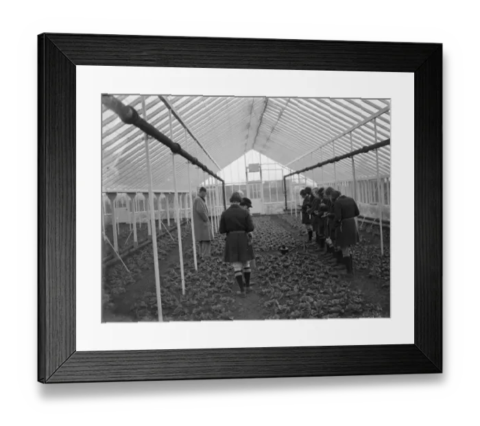 Framed Print : Young women students take notes at a glass house demonstration at the Horticultural Framed Print : Young women students take notes at a glass house demonstration at the Horticultural