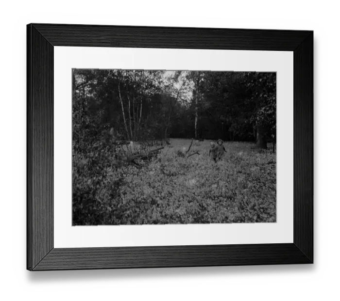 Framed Print : Children walking among the bluebells. 1935