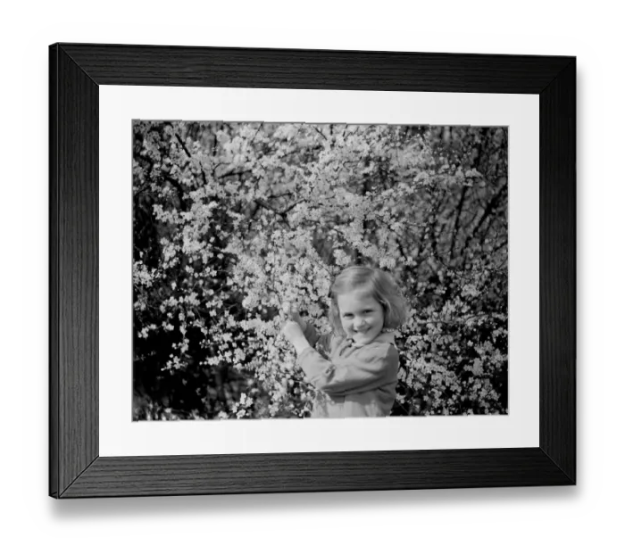 Framed Print : A little girl plays with blackthorn blossom in Farningham, Kent. 1938 Framed Print : A little girl plays with blackthorn blossom in Farningham, Kent. 1938