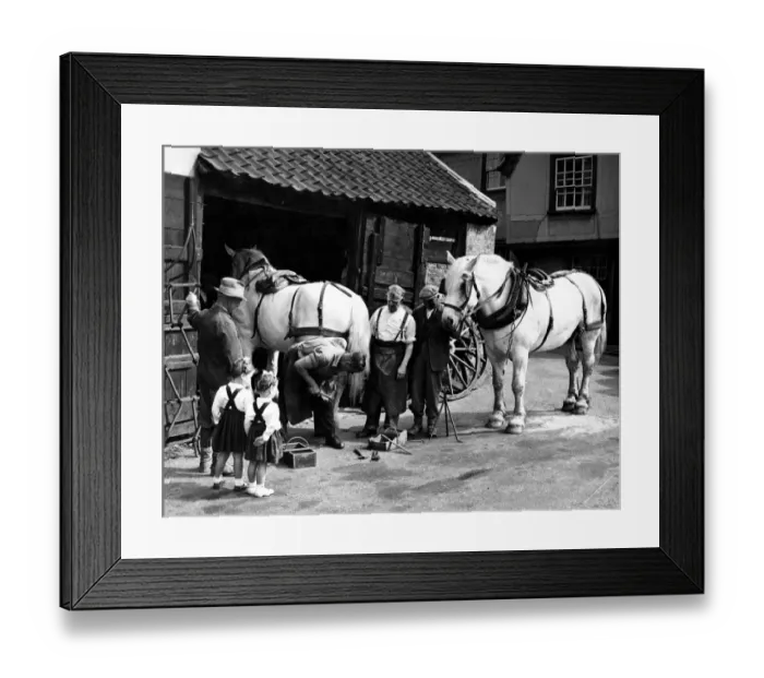 Framed Print : Shoeing farm greys at the force, Chipping Hill, Witham Framed Print : Shoeing farm greys at the force, Chipping Hill, Witham