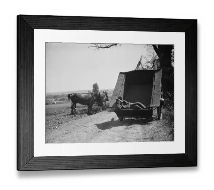 Framed Print : Field worker taking rest in a cart. 1938 Framed Print : Field worker taking rest in a cart. 1938