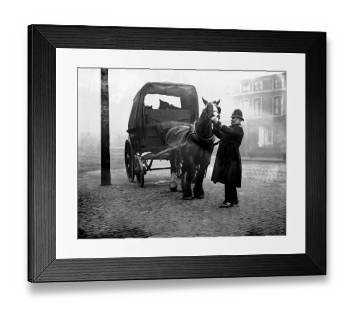 Framed Print : Police inspect horses mouth. ( P. C. Dent). 1933 photograph by John Topham Framed Print : Police inspect horses mouth. ( P. C. Dent). 1933 photograph by John Topham