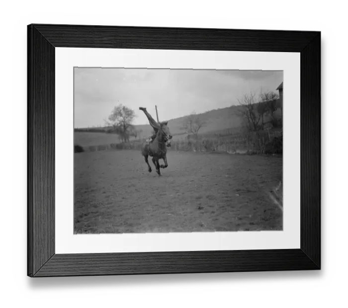 Framed Print : Horse trick riding in Eynsford, Kent. Mr Jorganoff performing a side stand whilst Framed Print : Horse trick riding in Eynsford, Kent. Mr Jorganoff performing a side stand whilst