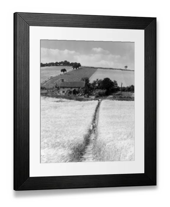 Framed Print : Two girls walking through a barley field, Timberton Bottom, Shoreham, Kent, England