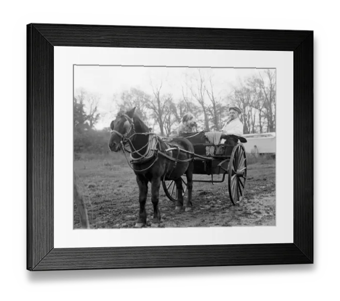 Framed Print : Mr Groombridge and his sheepdog, smoking their pipes, aboard their poney trap