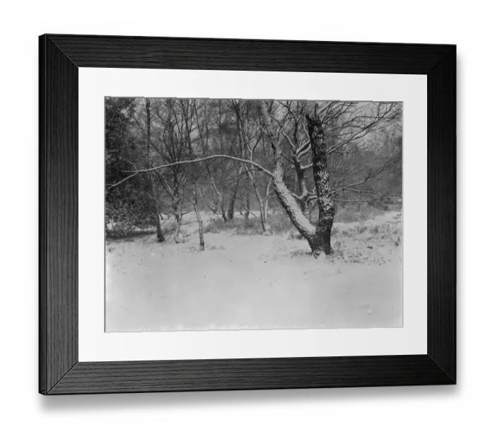 Framed Print : Snow scenes in Chislehurst, Kent. 26 December 1938 Framed Print : Snow scenes in Chislehurst, Kent. 26 December 1938