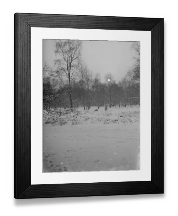 Framed Print : A dog walker enjoys the snow on Chislehurst Common, Kent. 1936