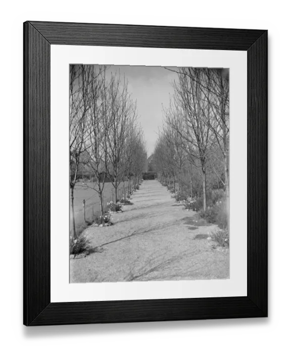 Framed Print : Mr Swans house and garden at 21 Rectory Lane in Sidcup, Kent. 1939 Framed Print : Mr Swans house and garden at 21 Rectory Lane in Sidcup, Kent. 1939