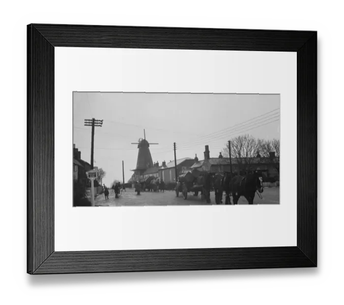Framed Print : Horse teams tow tree trunks away from the windmill. 1936