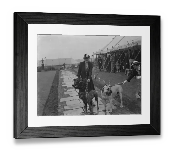 Framed Print : The charity Lifeboat fete in Scadbury, Kent. Mrs Marsham Townshends and her dogs Framed Print : The charity Lifeboat fete in Scadbury, Kent. Mrs Marsham Townshends and her dogs
