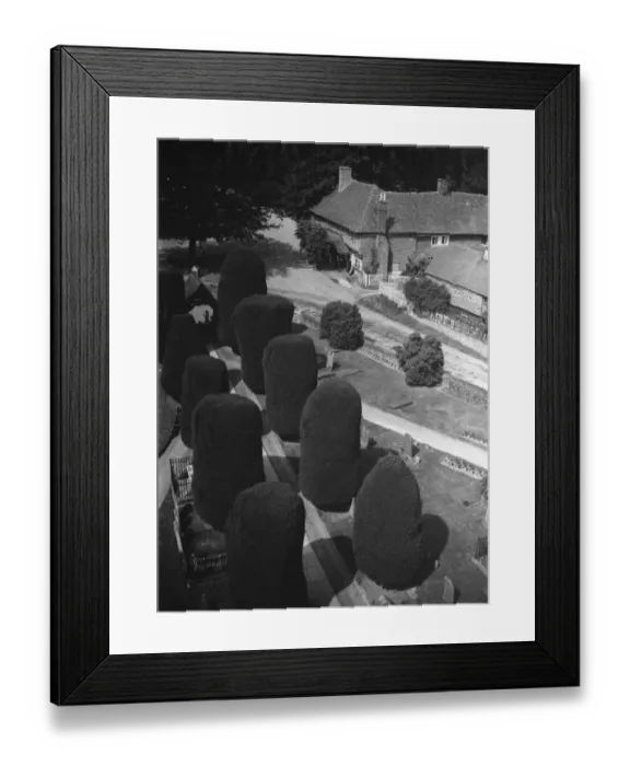 Framed Print : Yew trees, Brenchley. 1937 Framed Print : Yew trees, Brenchley. 1937