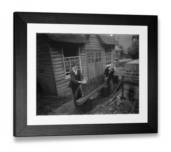 Framed Print : Hurdle making. 1937 Framed Print : Hurdle making. 1937