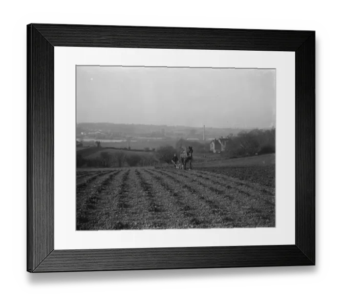 Framed Print : A farmer and his horse plough a stony field. suburban or urban meets rural Framed Print : A farmer and his horse plough a stony field. suburban or urban meets rural