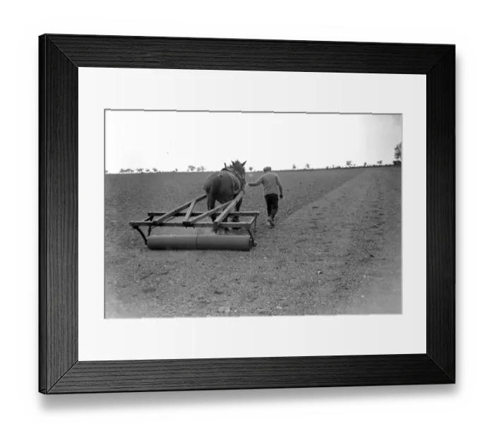 Framed Print : Farm Scene (Rolling). 1934 Framed Print : Farm Scene (Rolling). 1934