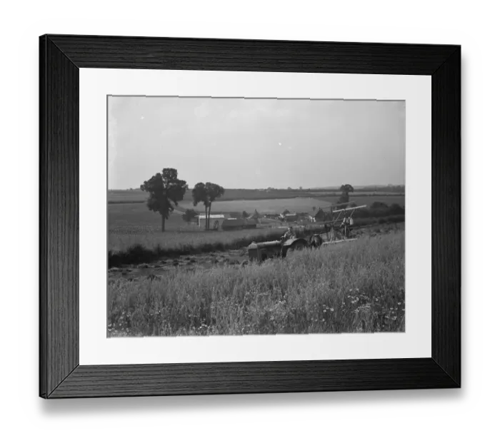 Framed Print : A farmer collects his harvest with his combine in Dene Bottom. March 1938