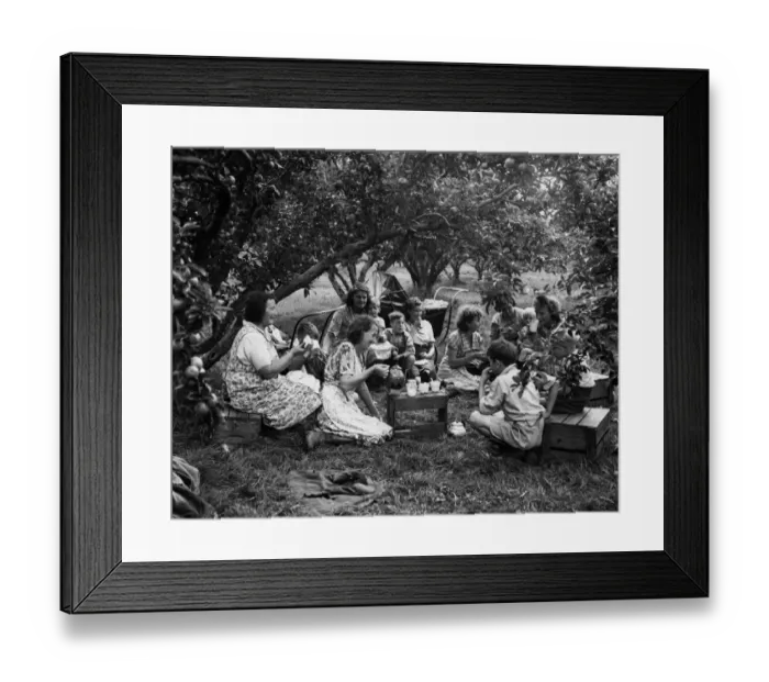 Framed Print : Fruit pickers at tea time during their spell of apple picking in the orchards