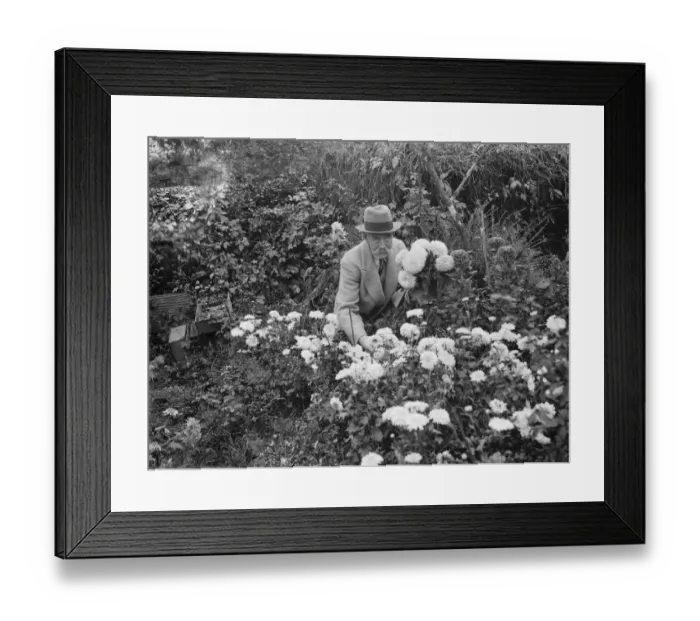 Framed Print : Mr JA Baxter, in his garden in Sidcup. 1935 Framed Print : Mr JA Baxter, in his garden in Sidcup. 1935