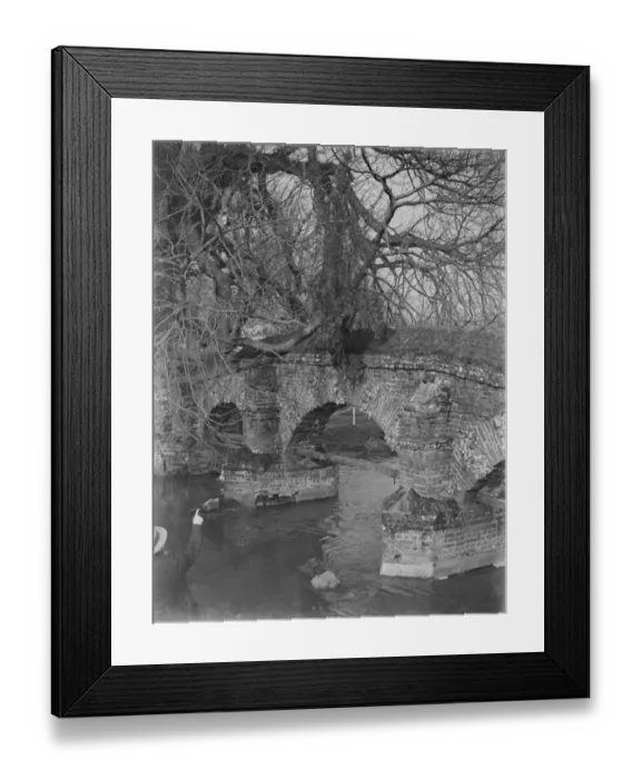 Framed Print : A tree growing from the base of Farningham bridge in Kent. 1939 Framed Print : A tree growing from the base of Farningham bridge in Kent. 1939