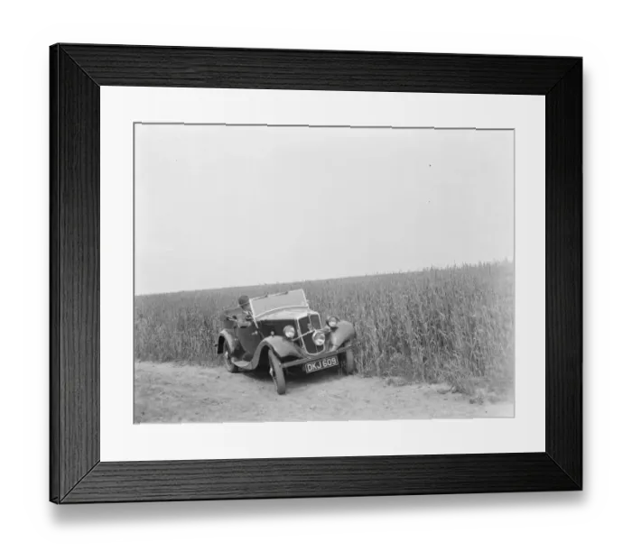 Framed Print : Tall wheat on a field in Faversham, Kent. 1937