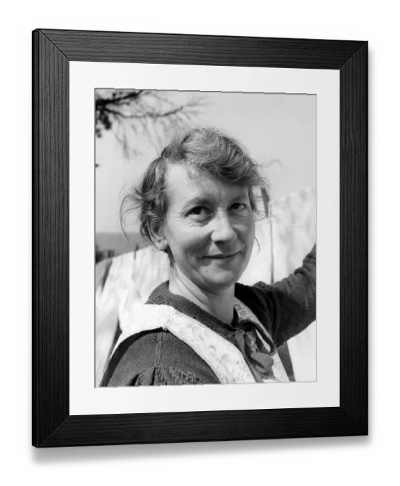 Framed Print : Close up of a housewife hanging out the clothes on wash day Framed Print : Close up of a housewife hanging out the clothes on wash day