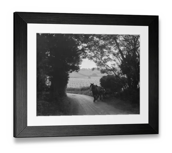 Framed Print : Harvest scene near Otford, Kent. A farmer leads his horse and hay cart off a field