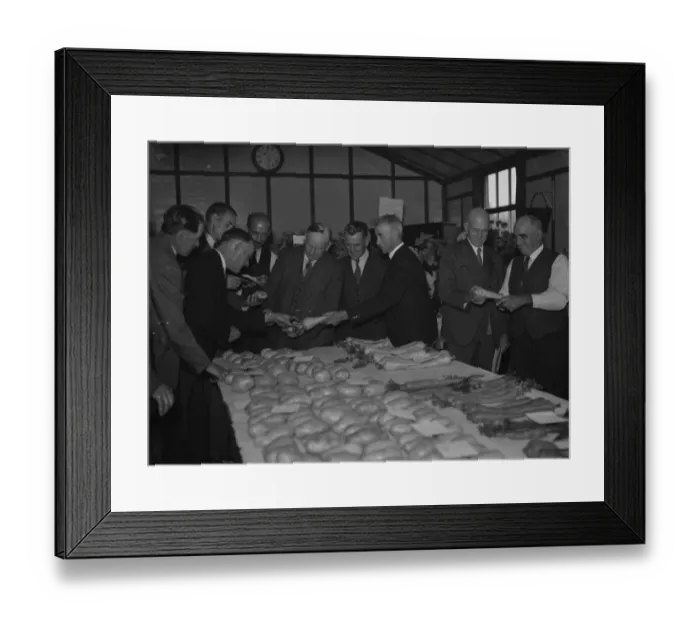 Framed Print : The judging at the Foots Cray 90th horticultural show, Kent. 1937