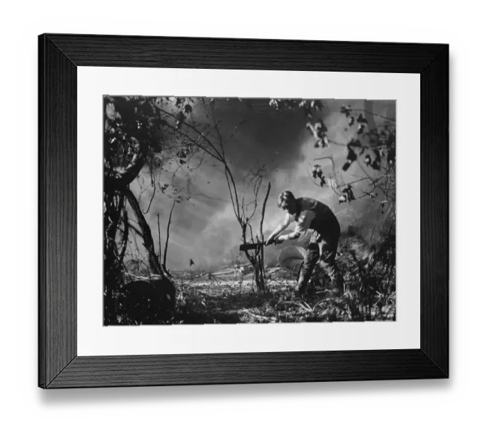 Framed Print : A boy cuts wood down after a fresh breakout of fire at the tyre dump in Ruxley Framed Print : A boy cuts wood down after a fresh breakout of fire at the tyre dump in Ruxley