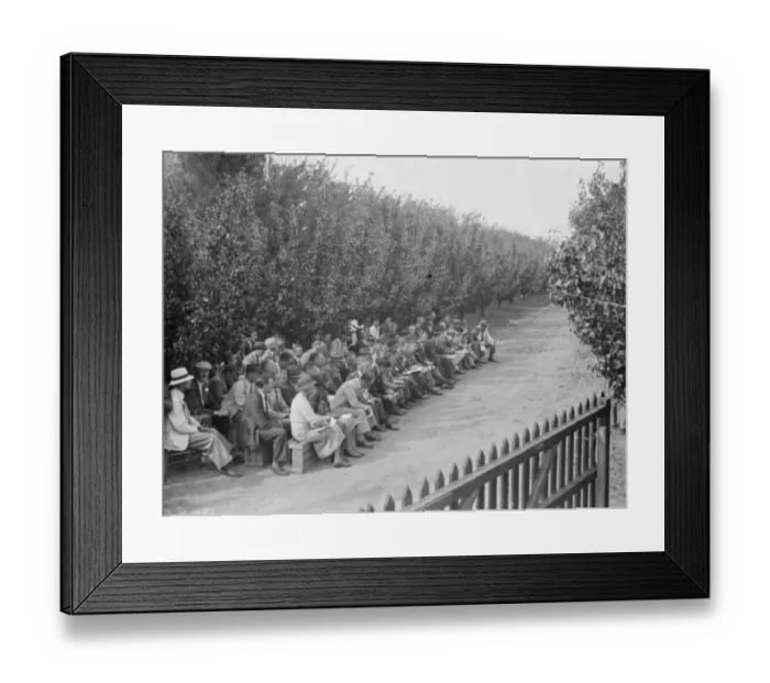 Framed Print : The Conference day at the East Malling Research Station in Kent. 14 September 1938 Framed Print : The Conference day at the East Malling Research Station in Kent. 14 September 1938