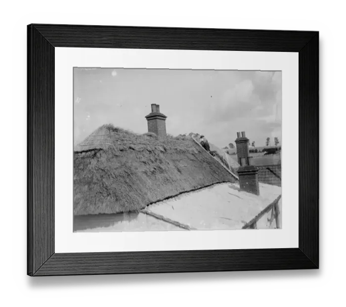 Framed Print : Thatching Perry Street cottages. 1935 Framed Print : Thatching Perry Street cottages. 1935