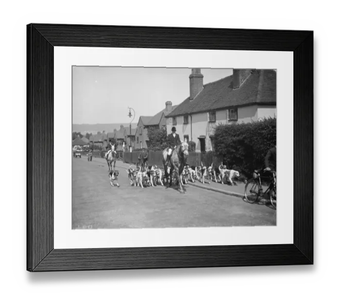 Framed Print : West Kent fox hounds in Sevenoaks. 1938