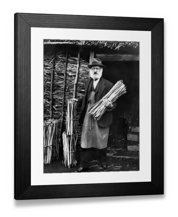 Framed Print : Mr Thomas Backshall of Paddock Wood, Kent Aged 82 had been making basket hoops by Framed Print : Mr Thomas Backshall of Paddock Wood, Kent Aged 82 had been making basket hoops by
