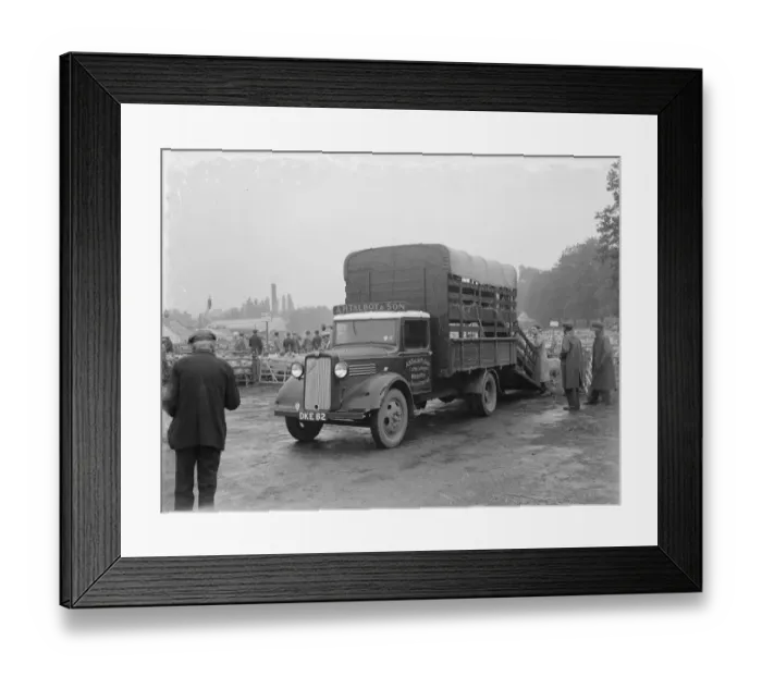 Framed Print : Sheep are being loaded up onto a Bedford lorry belonging to W James & Sons Horse Framed Print : Sheep are being loaded up onto a Bedford lorry belonging to W James & Sons Horse
