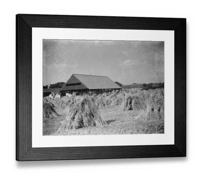 Framed Print : Paston Barns. 1937 Framed Print : Paston Barns. 1937
