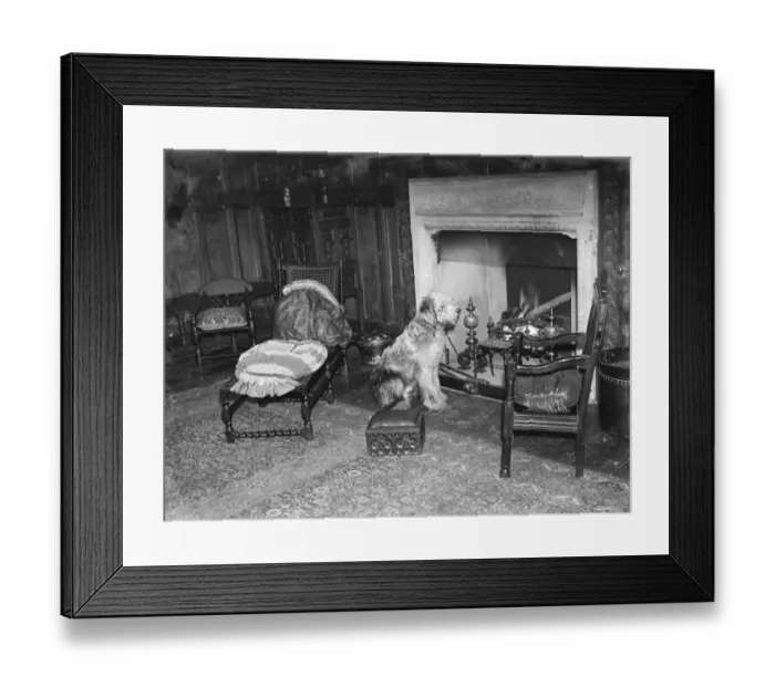 Framed Print : The interior of the Wheeler house in Farningham, Kent. 1936