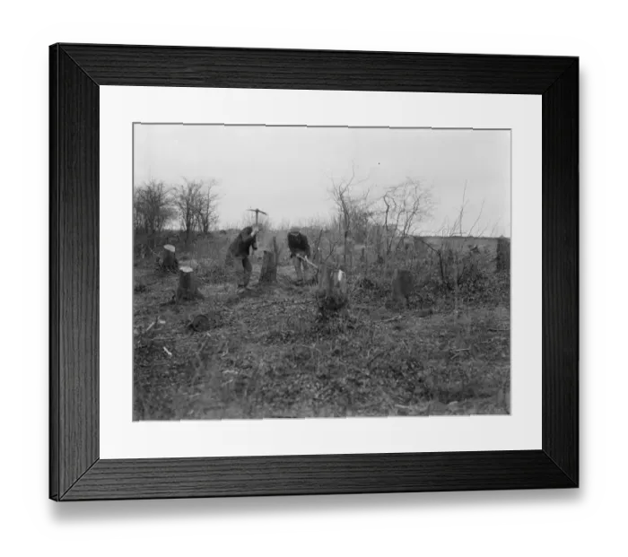 Framed Print : Making way for new road, London Hastings Road to Dartford. 1937 Framed Print : Making way for new road, London Hastings Road to Dartford. 1937