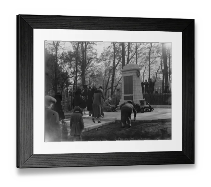 Framed Print : Armistice memorial service in Sidcup, Kent. A lady lays a wreath at the foot Framed Print : Armistice memorial service in Sidcup, Kent. A lady lays a wreath at the foot