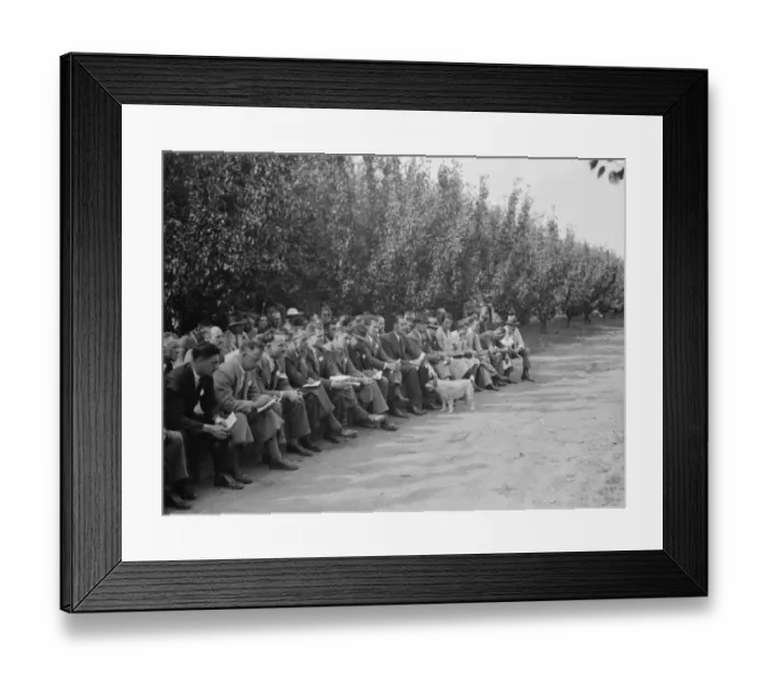 Framed Print : The Conference day at the East Malling Research Station in Kent. 14 September 1938 Framed Print : The Conference day at the East Malling Research Station in Kent. 14 September 1938