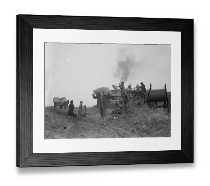 Framed Print : A farming scene. Farm workers in Farningham at work using a steam engine and belt