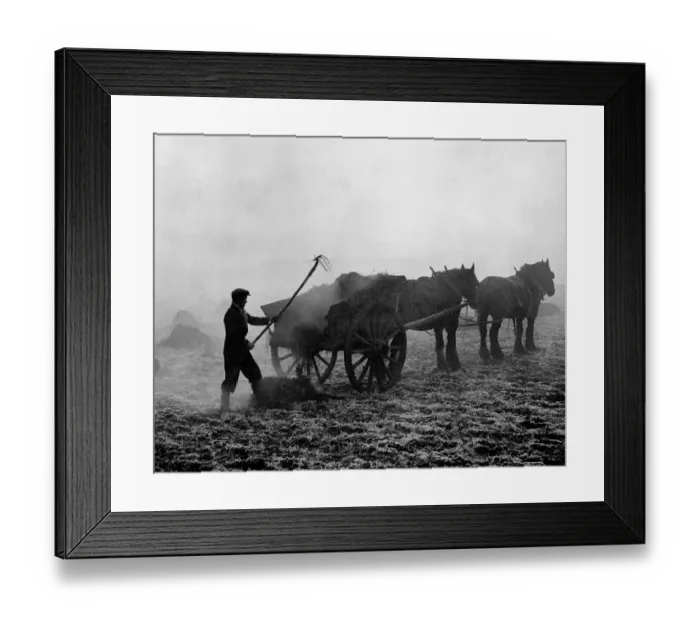Framed Print : Early morning on the farm - with frost still on the ground and the suntrying to force Framed Print : Early morning on the farm - with frost still on the ground and the suntrying to force