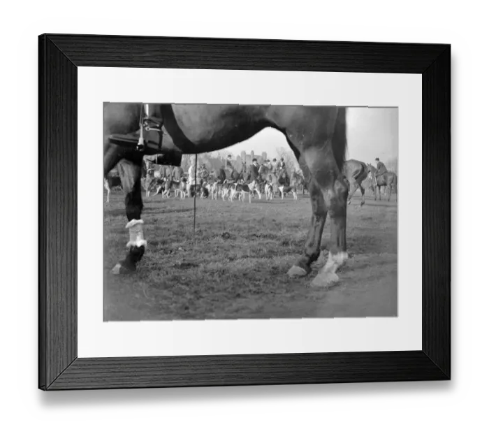 Framed Print : Royal Artillery (RA) drag hunt at Chislehurst, Kent. 1934 Framed Print : Royal Artillery (RA) drag hunt at Chislehurst, Kent. 1934