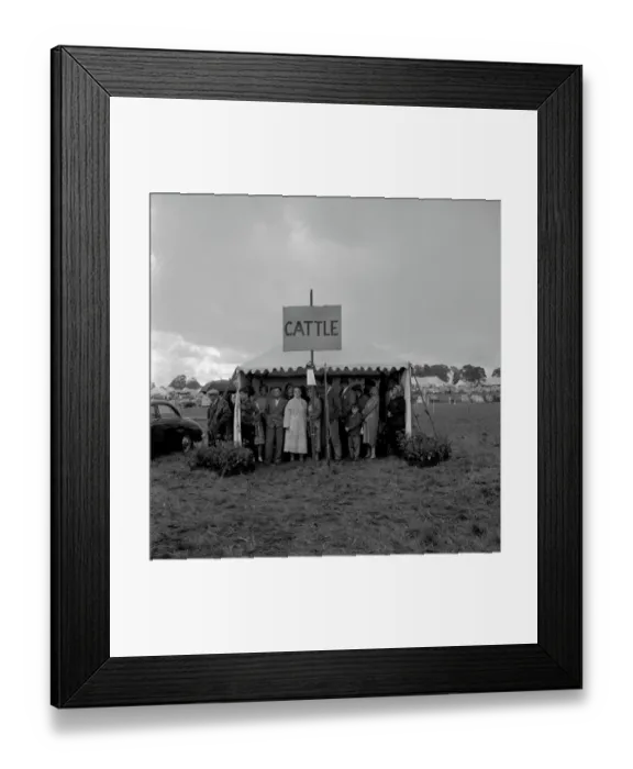 Framed Print : The Edenbridge and Oxted Show - 2 August 1960 Herded together like... Spectators