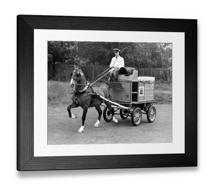 Framed Print : Immaculate display of a milkman and his horse at an agricultural show in the 1950 s Framed Print : Immaculate display of a milkman and his horse at an agricultural show in the 1950 s