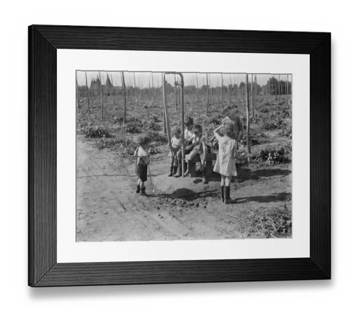 Framed Print : The children of the women hop pickers in Beltring, Kent, playing in the hop fields Framed Print : The children of the women hop pickers in Beltring, Kent, playing in the hop fields