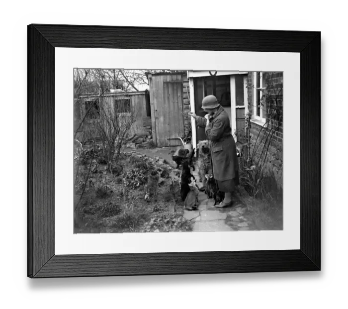 Framed Print : Miss Nancy Rutherford outside the house with her cats and dogs. 1934
