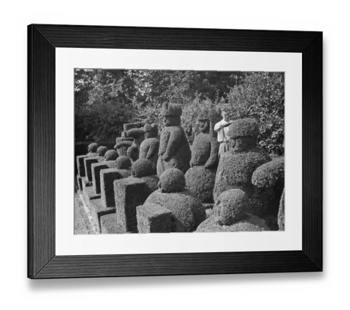 Framed Print : A groundsman trims the topiary figures at Hever Castle. 1938 Framed Print : A groundsman trims the topiary figures at Hever Castle. 1938